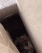 200.gif 200.gif