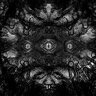 abnormalnameless