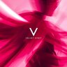 Velvet Orbit Agency