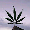 Raygan-