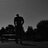 XVI
